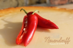 Old Hot Chili
